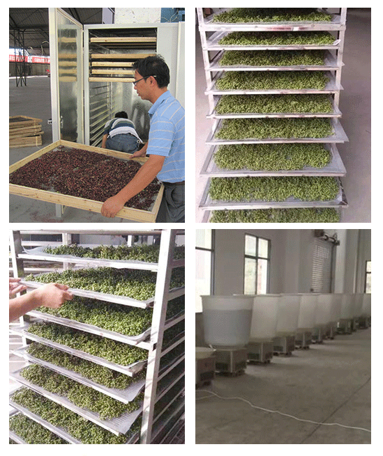 花椒烘干機，一體式空氣能花椒烘干機，一體式小型家用烘干機